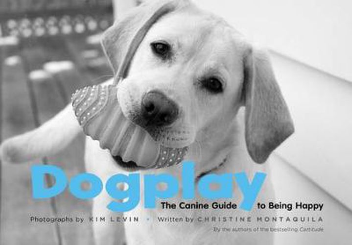 Cover image for Dogplay