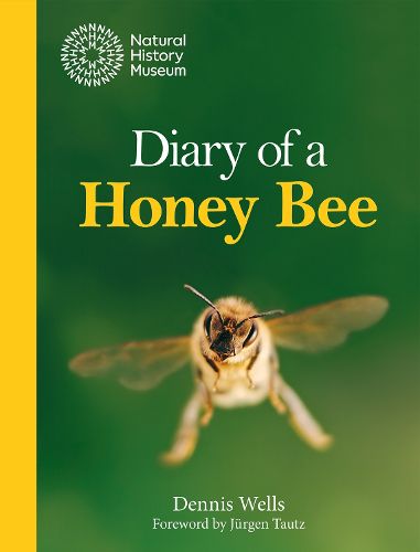 Cover image for Diary of a Honey Bee