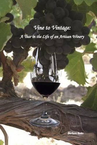 Vine to Vintage: A Year in the Life of an Artisan Winery