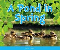 Cover image for A Pond in Spring