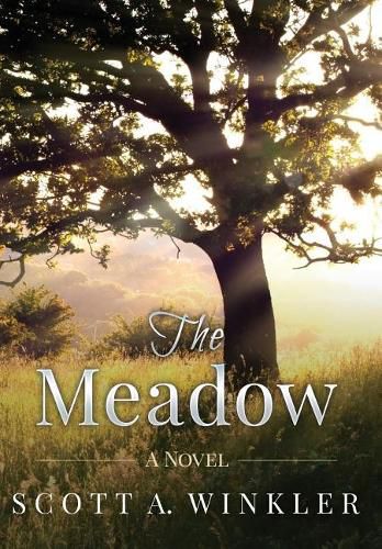 Cover image for The Meadow