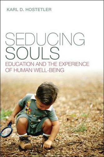 Cover image for Seducing Souls: Education and the Experience of Human Well-Being