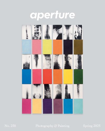 Cover image for Painting and Photography