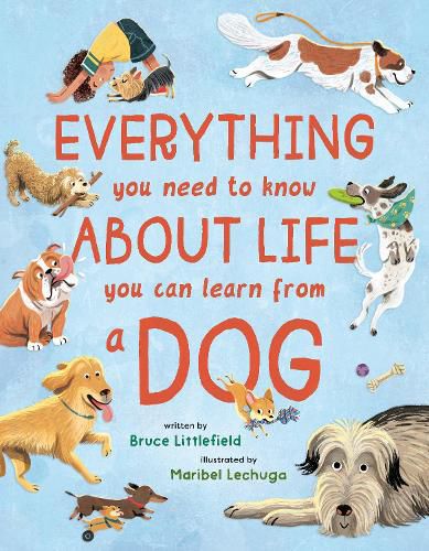 Cover image for Everything You Need to Know About Life You Can Learn from a Dog