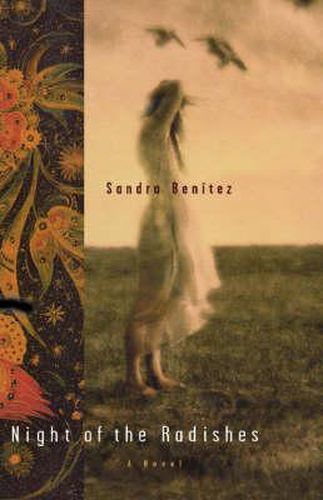 Cover image for Night of the Radishes