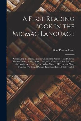 Cover image for A First Reading Book in the Micmac Language [microform]