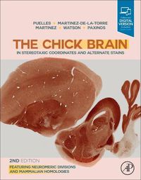 Cover image for The Chick Brain in Stereotaxic Coordinates and Alternate Stains: Featuring Neuromeric Divisions and Mammalian Homologies