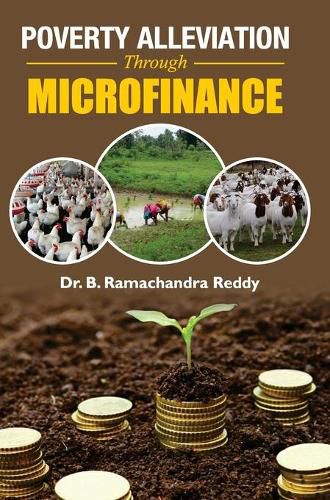 Cover image for Poverty Alleviation Through Microfinance