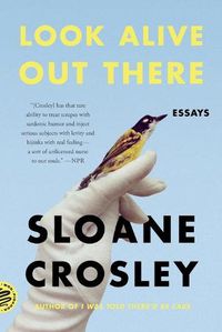 Cover image for Look Alive Out There: Essays