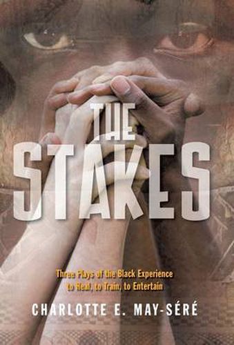 Cover image for The Stakes