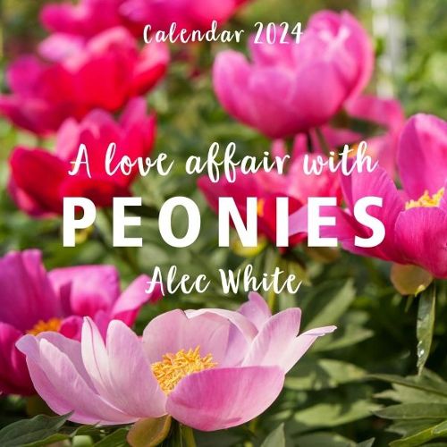 Cover image for Love Affair with Peonies Calendar 2024, A