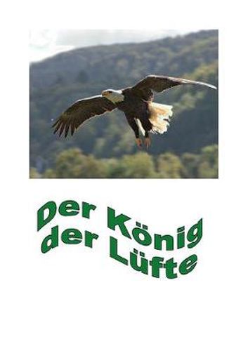 Cover image for Der Koenig der Lufte