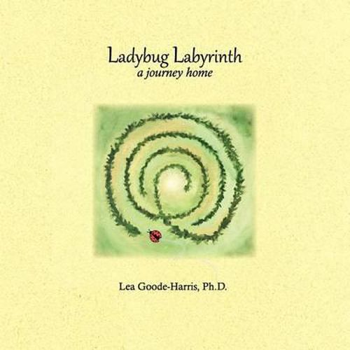 Cover image for Ladybug Labyrinth: A Journey Home