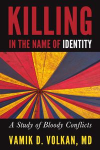 Cover image for Killing in the Name of Identity: A Study of Bloody Conflicts