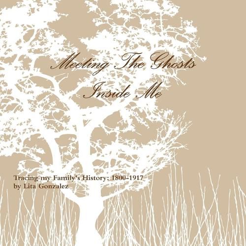 Cover image for Meeting The Ghosts Inside Me