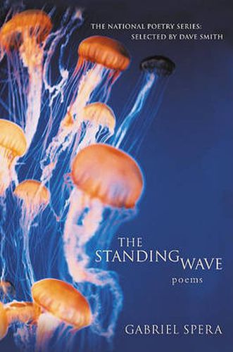 Cover image for Standing Wave Tpb