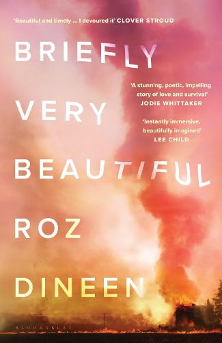 Cover image for Briefly Very Beautiful