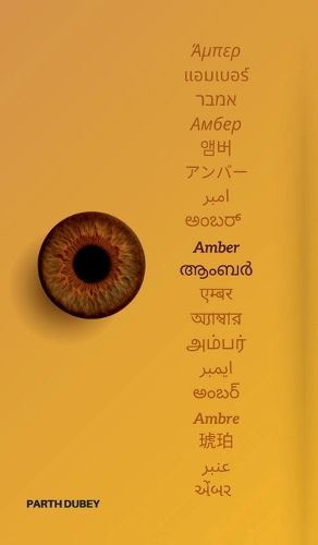 Cover image for Amber