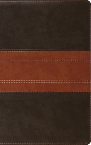 Cover image for ESV Large Print Personal Size Bible, Red Letter