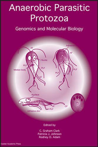 Anaerobic Parasitic Protozoa: Genomics and Molecular Biology