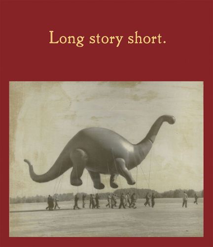 Cover image for Long Story Short