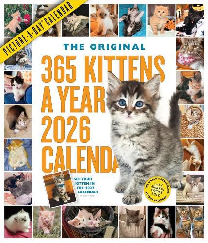 Cover image for 365 Kittens-A-Year Picture-A-Day (R) Wall Calendar 2026