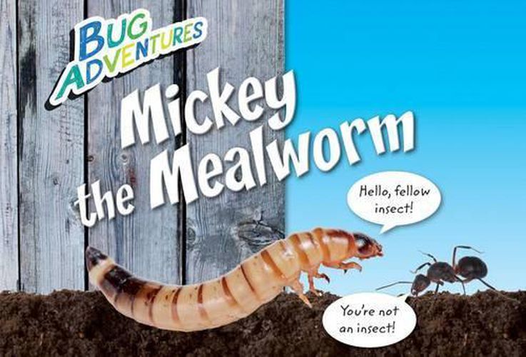 Mickey the Mealworm