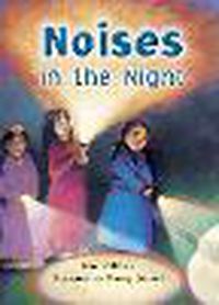 Cover image for Rigby Literacy Collections Take-Home Library Middle Primary: Noises in the Night (Reading Level 22/F&P Level M)