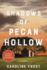 Cover image for Shadows Of Pecan Hollow: A Novel [Large Print]