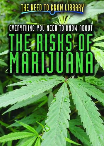 Everything You Need to Know about the Risks of Marijuana