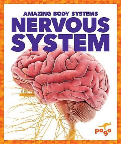 Nervous System