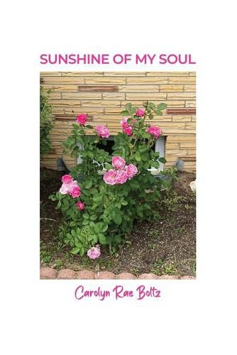 Cover image for Sunshine of My Soul