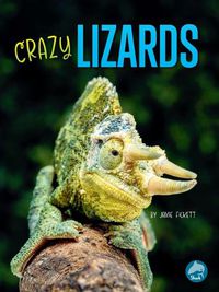 Cover image for Crazy Lizards