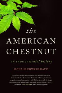 Cover image for The American Chestnut