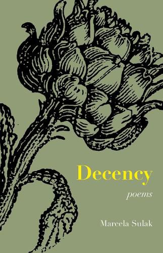 Cover image for Decency