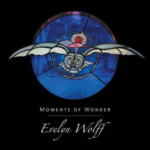 Cover image for Moments of Wonder