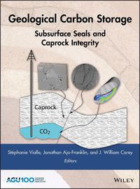 Cover image for Geological Carbon Storage - Subsurface Seals and Caprock Integrity