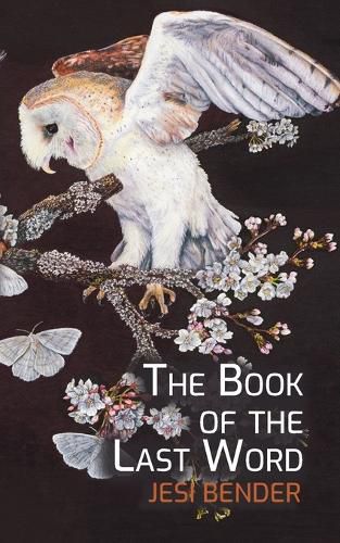 Cover image for The Book of the Last Word
