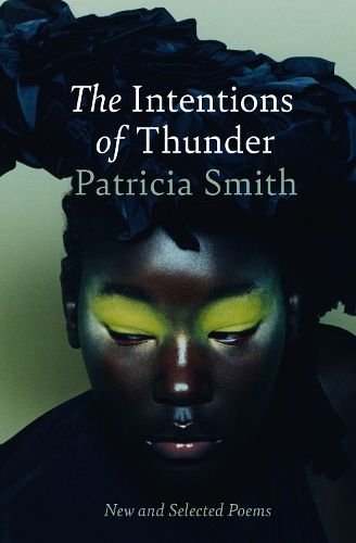 Cover image for The Intentions of Thunder