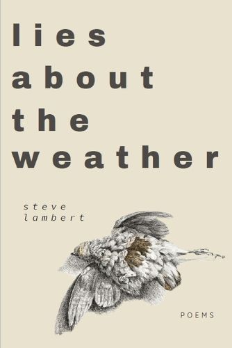 Cover image for lies about the weather