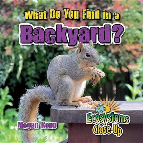 What Do You Find in a Backyard?