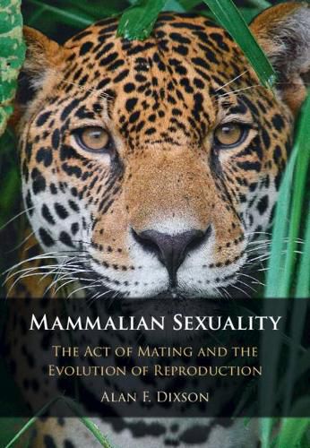 Cover image for Mammalian Sexuality: The Act of Mating and the Evolution of Reproduction