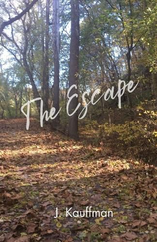 Cover image for The Escape