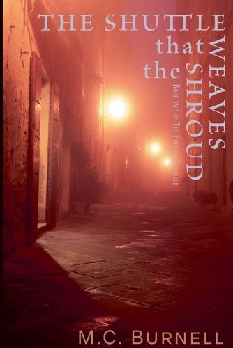 Cover image for The Shuttle That Weaves the Shroud