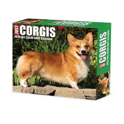 Cover image for Corgis 2026 5.4 X 6.2 Box Calendar