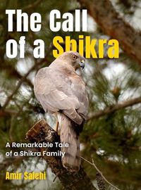 Cover image for The Call of a Shikra