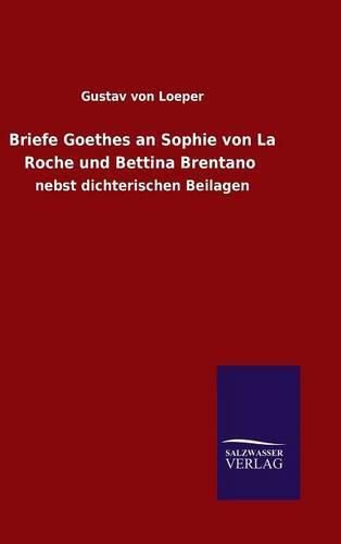 Cover image for Briefe Goethes an Sophie von La Roche und Bettina Brentano