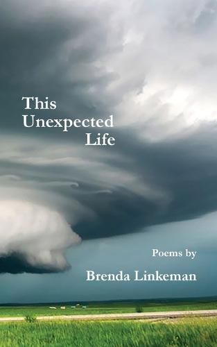 Cover image for This Unexpected Life