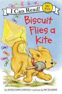 Cover image for Biscuit Flies A Kite
