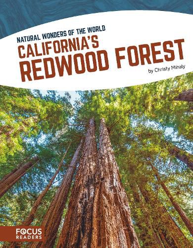 Natural Wonders: California's Redwood Forest